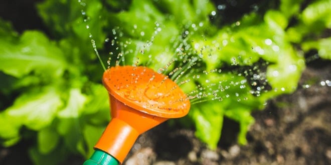 Top 10 Best Sellers in Watering Cans