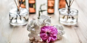 Top 10 Best Sellers in Electric Air Fresheners