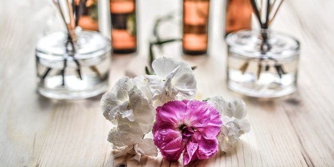 A group of flowers on a table.