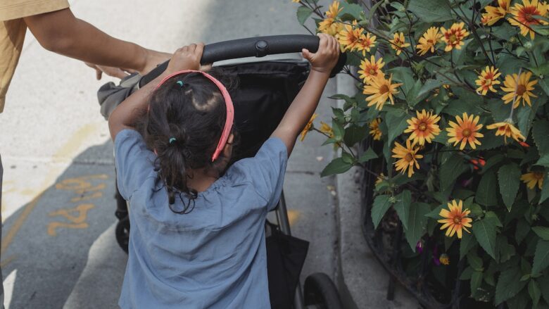 A young girl pushing a stroller through a flower garden.